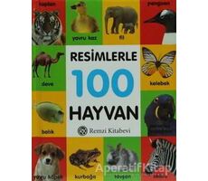 Resimlerle 100 Hayvan (Küçük Boy) - Kolektif - Remzi Kitabevi