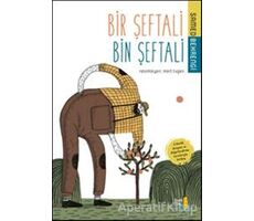 Bir Şeftali Bin Şeftali - Behrengi Masalları 2 - Samed Behrengi - Büyülü Fener Yayınları