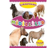 Çıkartmalı Midilliler - Kolektif - Yumurcak Yayınları