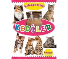 Çıkartmalı Kediler - Kolektif - Yumurcak Yayınları