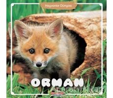 Orman - Hayvanlar Dünyası - Kolektif - Yumurcak Yayınları