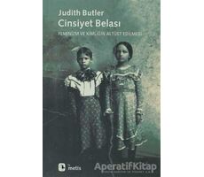Cinsiyet Belası - Judith Butler - Metis Yayınları