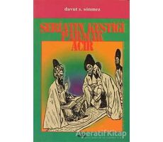 Şeriatın Kestiği Parmak Acır - Davut S. Sönmez - Say Yayınları