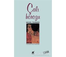 Çalı Horozu - Michel Tournier - Ayrıntı Yayınları