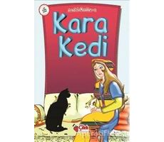 Kara Kedi - Derleme - Çilek Kitaplar