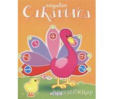 Eğitici Çıkartmalar - Sayılar - Kolektif - Çiçek Yayıncılık