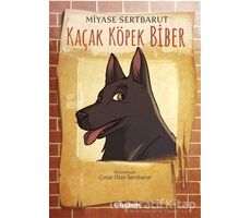 Kaçak Köpek Biber - Miyase Sertbarut - Tudem Yayınları