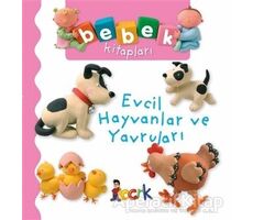 Evcil Hayvanlar ve Yavruları - Nathalie Belineau - Bıcırık Yayınları