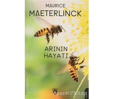 Arının Hayatı - Maurice Maeternick - Dorlion Yayınları