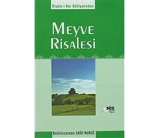 Meyve Risalesi Cep boy - Bediüzzaman Said-i Nursi - Söz Basım Yayın