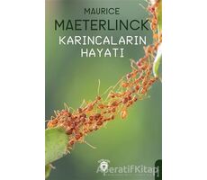 Karıncaların Hayatı - Maurice Maeterlinck - Dorlion Yayınları