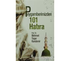 Peygamberimizden 101 Hatıra - Mehmet Yaşar Kandemir - Tahlil Yayınları