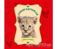 Yabani Hayvanlar - Dokun ve Hisset - Kolektif - 0-6 Yaş Yayınları