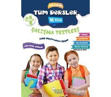 4. Sınıf Tüm Dersler Çek-Kopar Ne Kolay Çalışma Testleri - Erdinç Yeniçeri - Selimer Yayınları