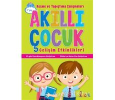 Kesme ve Yapıştırma Çalışmaları - Akıllı Çocuk - Kolektif - Bıcırık Yayınları