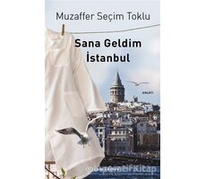 Sana Geldim İstanbul - Muzaffer Seçim Toklu - Epsilon Yayınevi