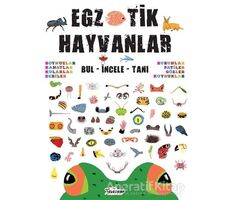 Egzotik Hayvanlar - Kolektif - Teleskop Popüler Bilim