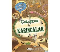 Çalışkan Karıncalar - Bu Nasıl Olabilir? - Marcin Brykczynski - Teleskop Popüler Bilim