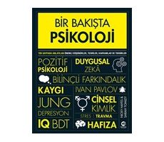 Bir Bakışta Psikoloji - Nicky Hayes - Nova Kitap