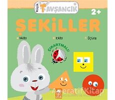 Şekiller - Küçük Tavşancık - Rasa Dmuchovskiene - Eksik Parça Yayınları
