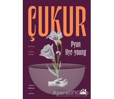 Çukur - Pyun Hye-young - Doğan Kitap