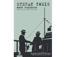 Amok Koşucusu - Stefan Zweig - Ayrıntı Yayınları