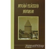 Mevlana Celaleddin Mektuplar - Abdülbaki Gölpınarlı - İnkılap Kitabevi