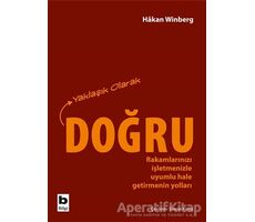 Yaklaşık Olarak Doğru - Hakan Winberg - Bilgi Yayınevi