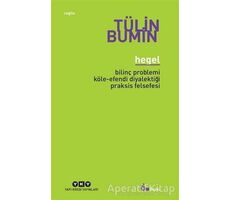 Hegel - Tülin Bumin - Yapı Kredi Yayınları