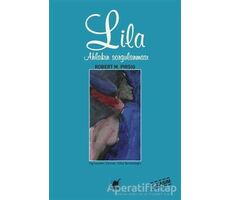 Lila Ahlakın Sorgulanması - Robert M. Pirsig - Ayrıntı Yayınları