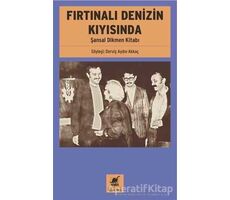 Fırtınalı Denizin Kıyısında - Şansal Dikmen Kitabı - Derviş Aydın Akkoç - Ayrıntı Yayınları