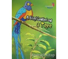 A Bird Landed On A Tree - Respect; Stories With The Phoenix - Neriman Karatekin - EDAM