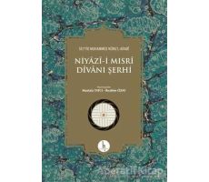 Niyazi-i Mısri Divanı Şerhi - Seyyid Muhammed Nurul-Arabi - H Yayınları