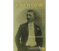 Çağlayanlar - Ahmed Hikmet Müftüoğlu - Çağrı Yayınları