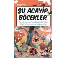 Şu Acayip Böcekler - Tarık Uslu - Uğurböceği Yayınları