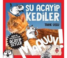 Daha da Küçükler İçin Şu Acayip Kediler - Daha da Küçükler İçin Acayip Şeyler 1