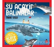 Daha da Küçükler İçin Şu Acayip Balinalar - Daha da Küçükler İçin Acayip Şeyler 4