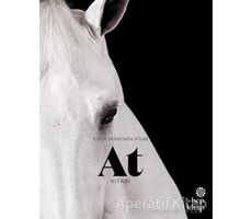 At Kitabı - Resim Sanatında Atlar - Angus Hyland - Hep Kitap