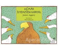 Uçmak İstemeyen Kartal - James Aggrey - Hep Kitap