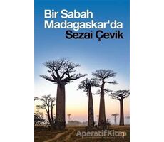 Bir Sabah Madagaskarda - Sezai Çevik - Cinius Yayınları