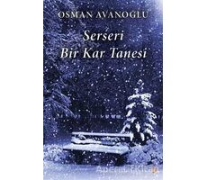 Serseri Bir Kar Tanesi - Osman Avanoğlu - Cinius Yayınları
