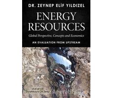 Energy Resources - Zeynep Elif Yıldızel - Cinius Yayınları