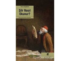 Şiir Nasıl Okunur ? - Terry Eagleton - Ayrıntı Yayınları