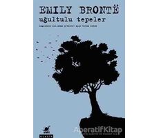 Uğultulu Tepeler - Emily Bronte - Ayrıntı Yayınları