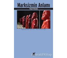 Marksizmin Anlamı - Paul DAmato - Ayrıntı Yayınları