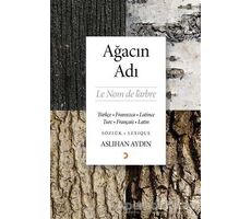 Ağacın Adı - Aslıhan Aydın - Cinius Yayınları