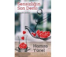 Sensizliğin Son Demi - Hamza Yücel - Cinius Yayınları