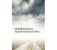 Meçhule Gitmeyen Yolcu - Abdulbaki Karaca - Cinius Yayınları