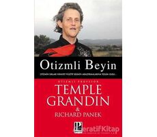 Otizmli Beyin - Richard Panek - Pozitif Yayınları