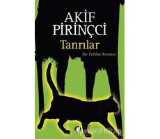 Tanrılar - Akif Pirinçci - Aylak Kitap